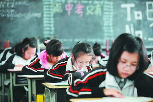 細(xì)節(jié)決定成效 杭州人眼中為何選專業(yè)化一對(duì)一教育更易改變初高中英語(yǔ)